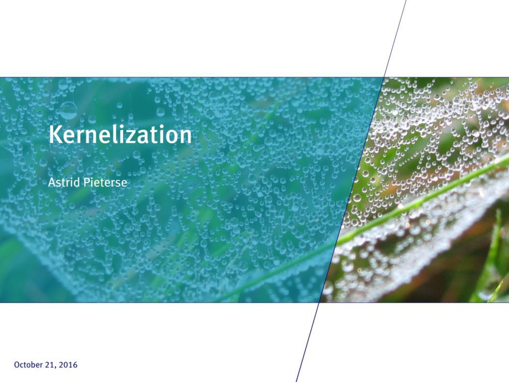 Kernelization title slide